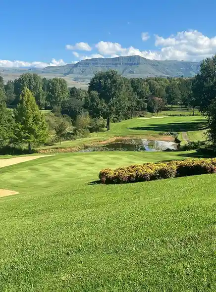 KwaZulu-Natal