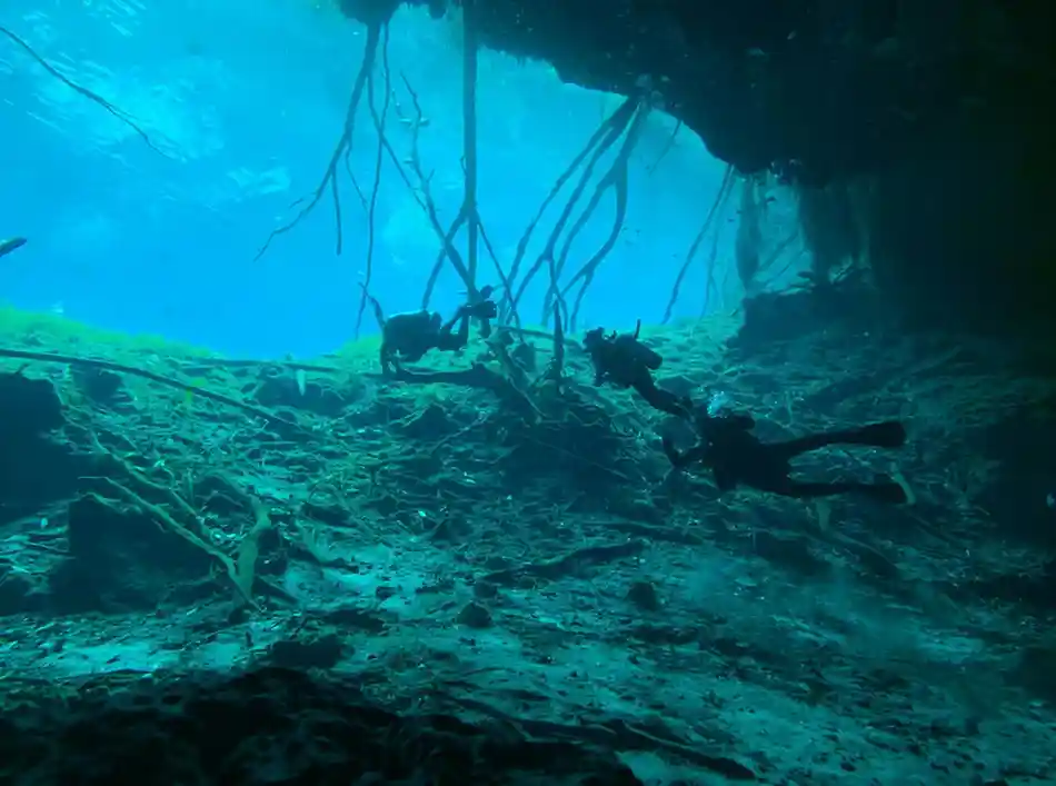 Freshwater Cave Diving