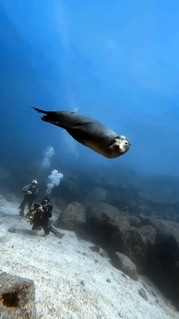 Galápagos Islands