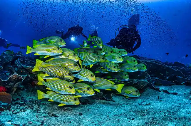 Raja Ampat, Indonesia