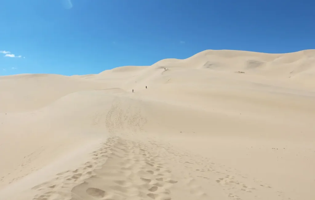 Singing Sand Dunes of Khongoryn Els