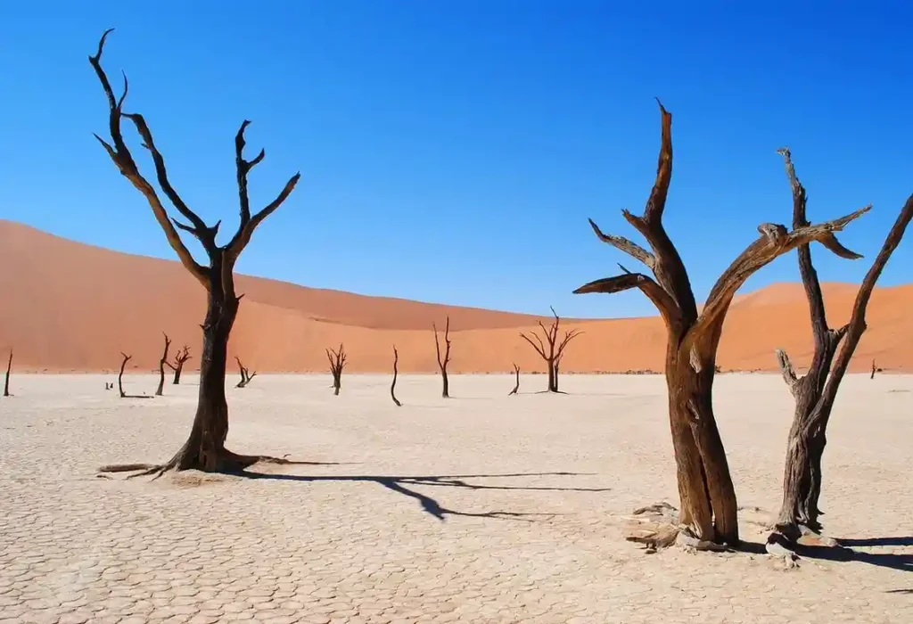 Sossusvlei – Namib Desert, Namibia