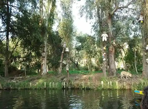 The Island of the Dolls – Xochimilco, Mexico