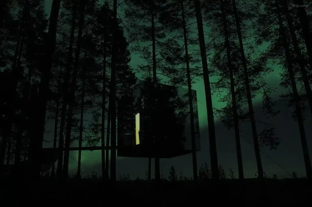 Treehotel