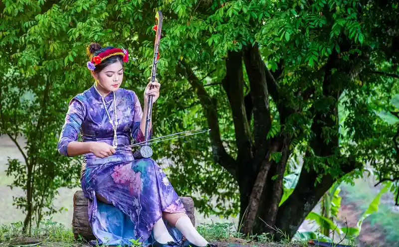 Erhu