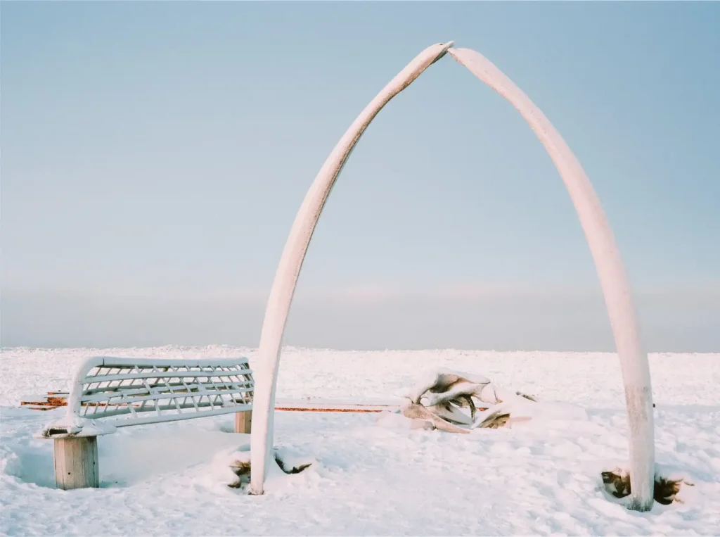 Utqiagvik Barrow Alaska USA